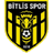 Bitlis 1916